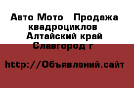 Авто Мото - Продажа квадроциклов. Алтайский край,Славгород г.